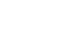 logo combo white
